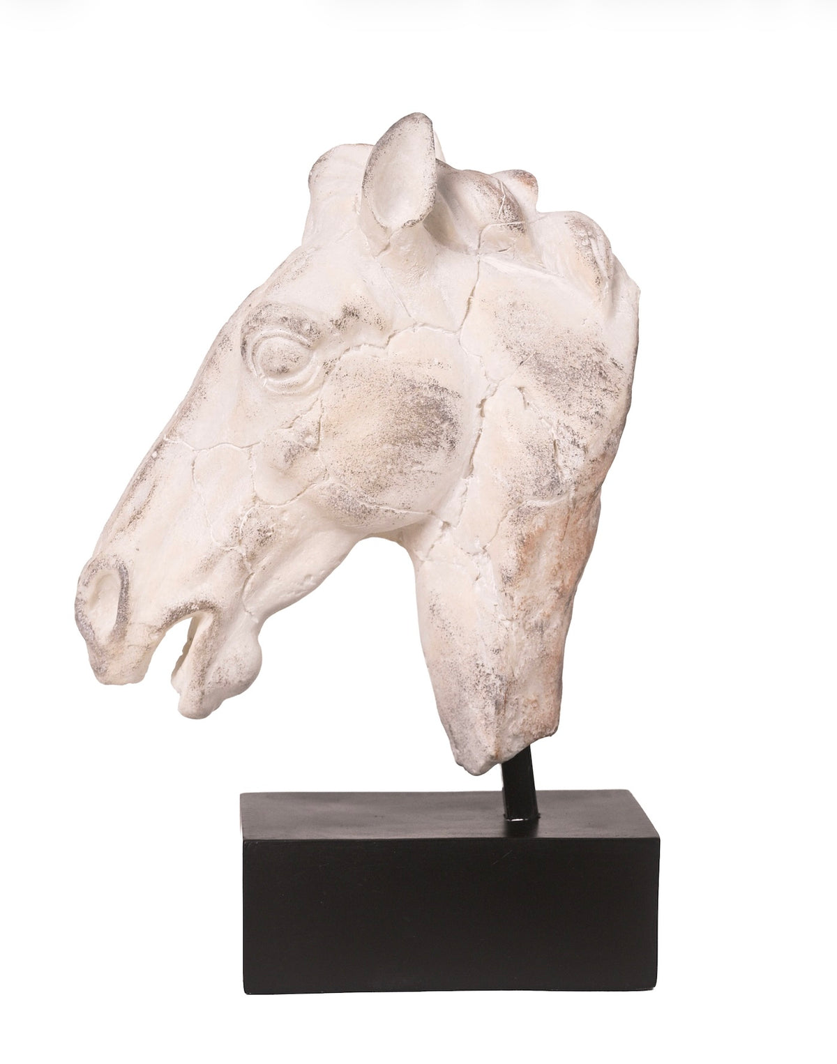 Equestrian Sculpture- aged ivory
