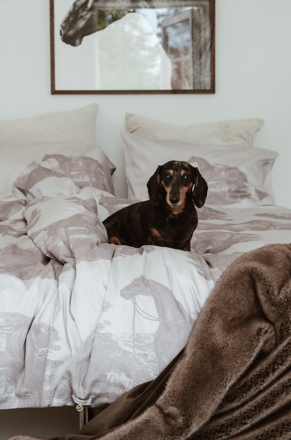 Exclusive duvet cover in the finest in cotton satin 53 IN X 79 IN + 31,5 X 31,5 IN