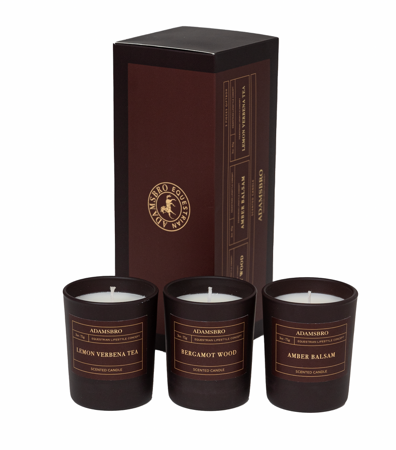 Scented Candle Gift set of 3