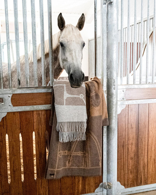 Wool Cashmere Throw Bridle Perla